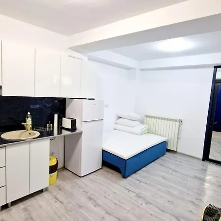 Seapoint Delfinariu * קונסטנצה